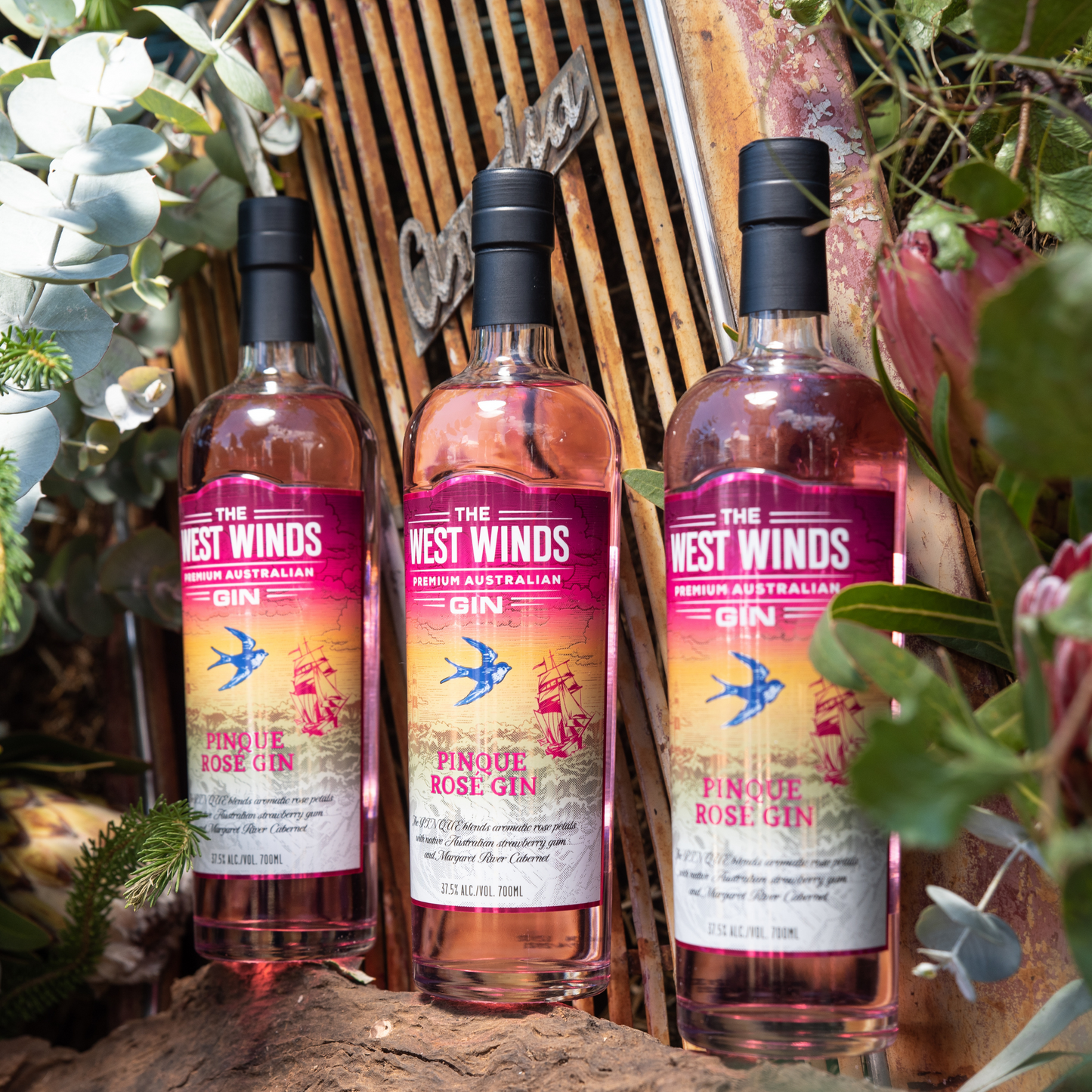 INTRODUCING THE NEW PINQUE ROSÉ GIN