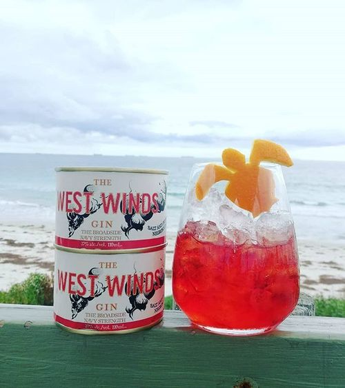The West Winds Gin Newsletter - June 2018